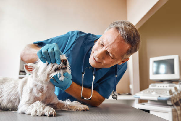Best Emergency Treatment for Dental Infections or Abscesses in Mooreland, OK